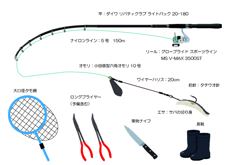 釣りドコ 釣りドコ